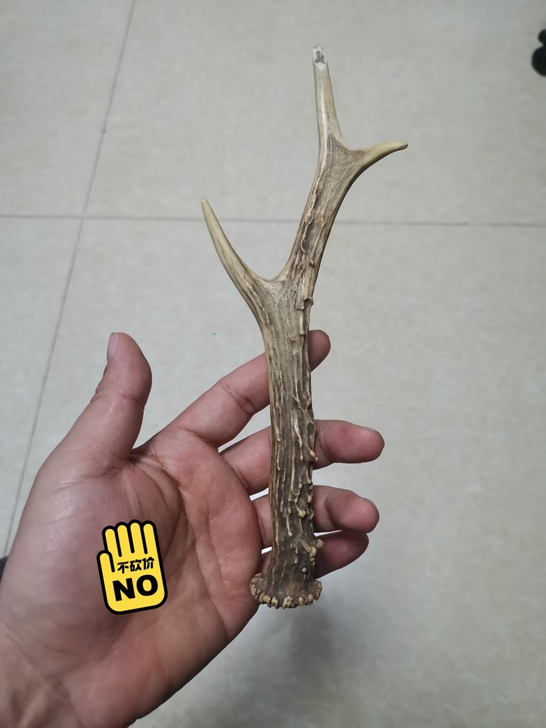 鹿角摆件.刀把料