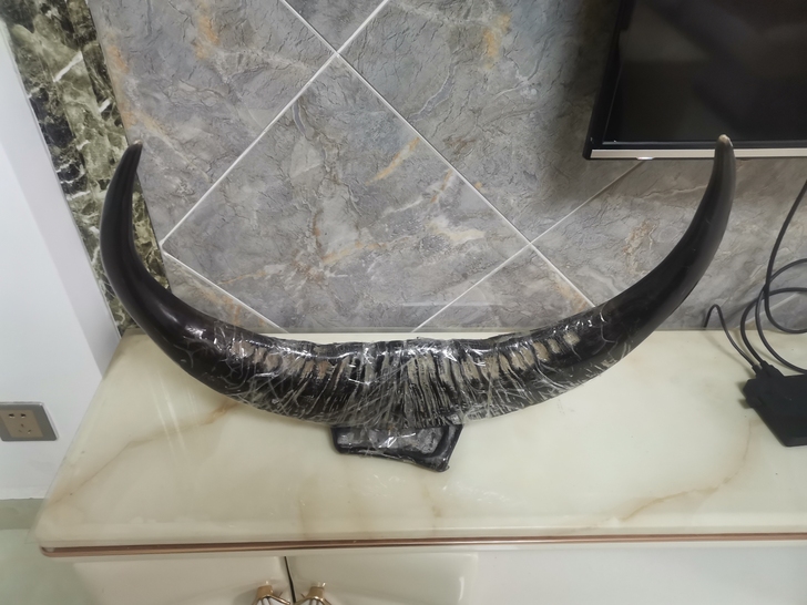 原牛角店铺摆件存货，材质老水牛角，高45c...