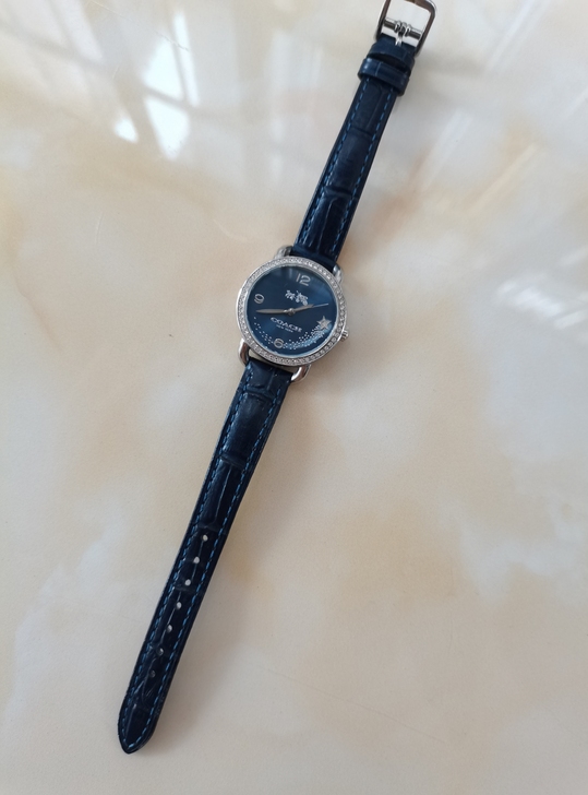 COACH蔻驰正品八成新手表