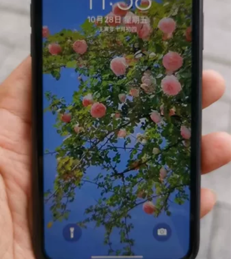 苹果11 黑    老婆老婆换了14Pro...