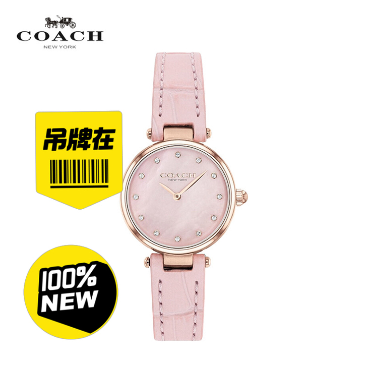 COACH/蔻驰手表PARK系列真皮珍珠母...