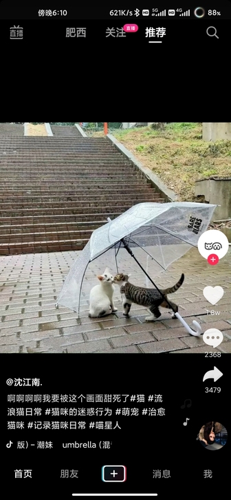 隋唐洛阳城套票 旅游门票  售出不退不换
