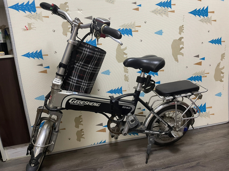 哥德圣电动自行车