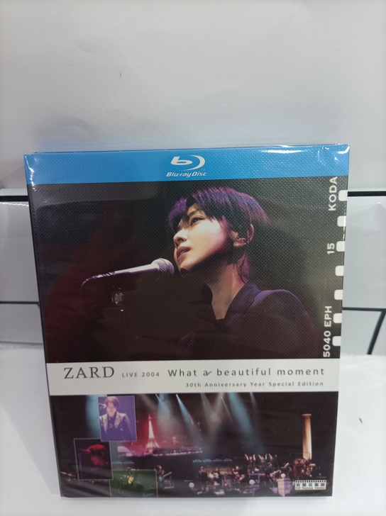 ZARD 坂井泉水 音乐演唱会