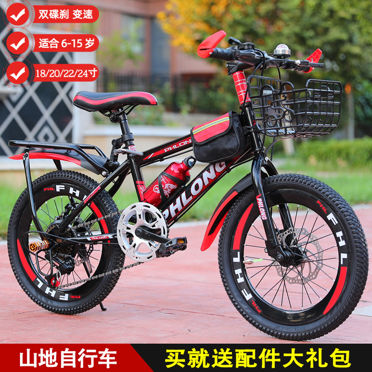 飞凰龙 自行车