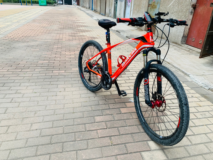 Sava牌山地。也没太骑。一直骑朋友公路，...