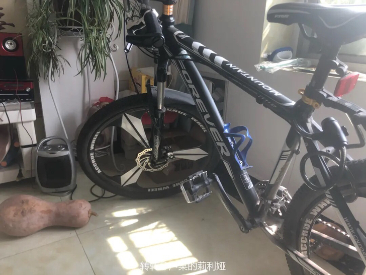 Forever山地碳纤维自行车 新车750...
