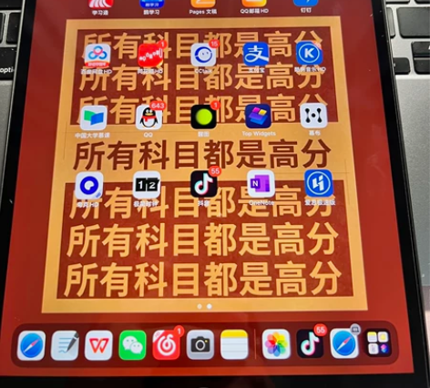 ipad -air3 appstore购买...