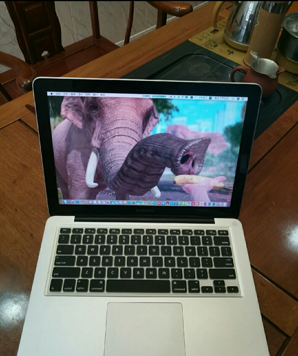 个人自用19年购买的Mac，i7顶配笔记本...