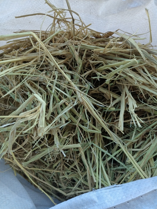 稻草,宠物保暖,买了5斤,还剩四斤多,只用...