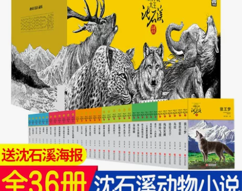 书籍小说 小说书籍全36册 狼王梦沈石溪品...