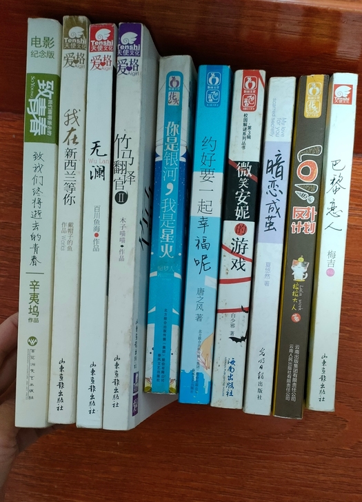 清书柜，白菜价，青春校园小说十本