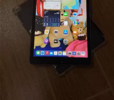 个人iPad 2018 自己用的 毕业了不...
