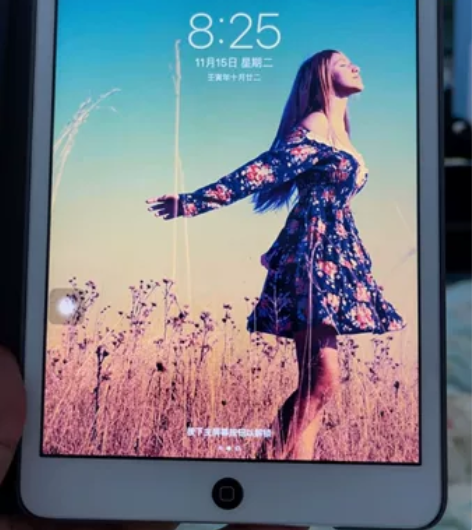 个人闲置iPad mini2，16G内存，...