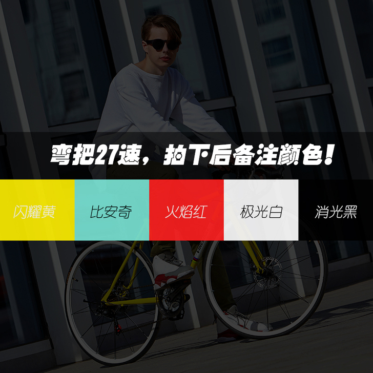 PHILLIPS/菲利普 公路自行车 因工...
