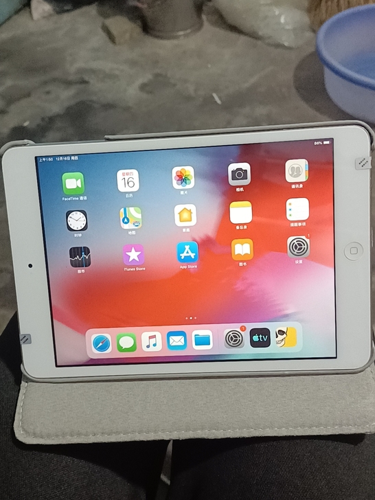 自用的苹果ipad  mini216g  ...