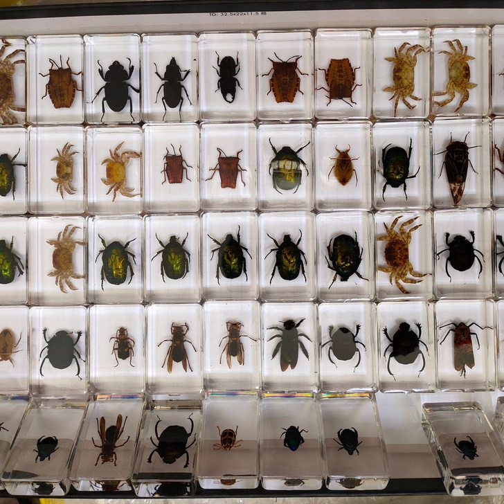 教学幼儿教育 人工琥珀 透明树脂标本 百种...