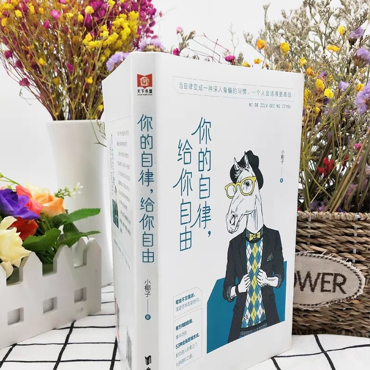 你的自律给你自由 青春文学