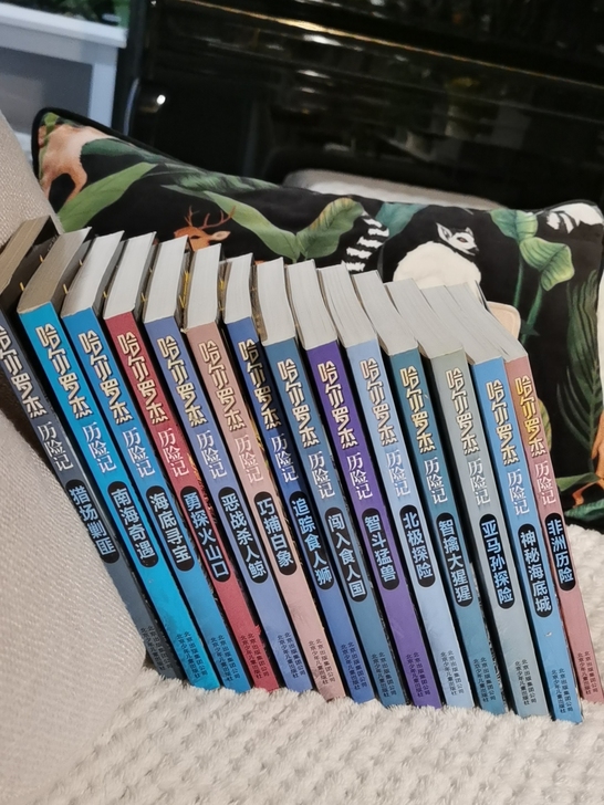 冒险小说《哈尔罗杰历险记》全册14本,小说...