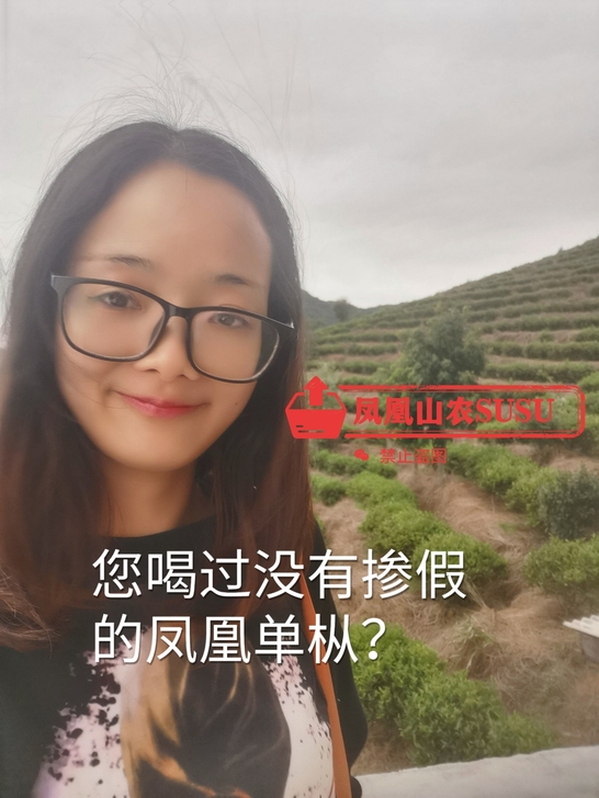凤凰单枞试喝装，自家种植，各品种都有，不能...