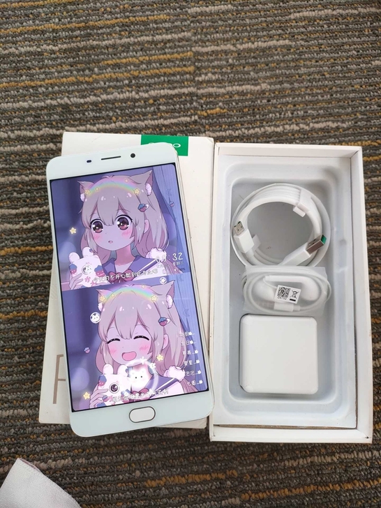 自用oppor9plus 手机，全网通，9...