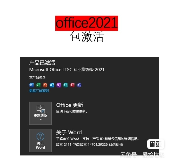 Office2021软件