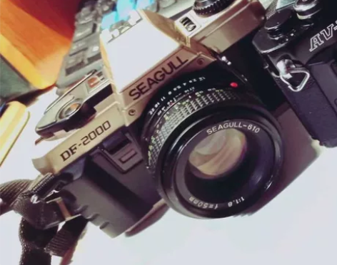 海鸥DF2000相机，没电了，拿回去换个电池 感兴趣的话点“...