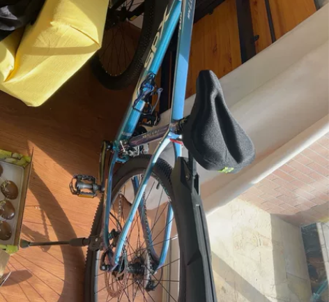 喜德盛007plus（车架上是这么写的）3...