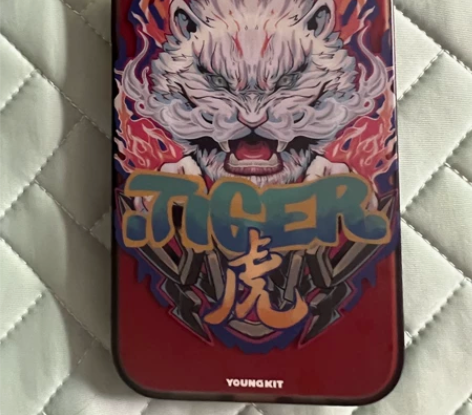 出一个苹果13prom保护壳，因为手机不用...