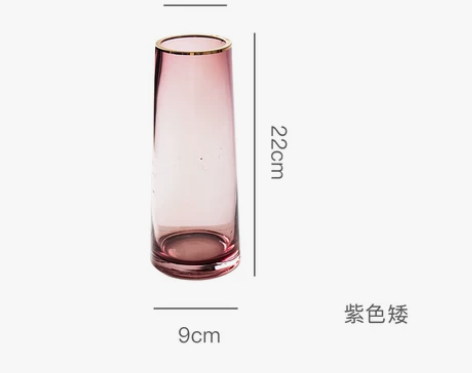 南十字星 轻奢描金透明玻璃花瓶 现代客厅创...