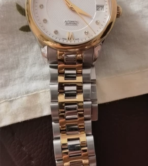 SANDEX瑞士进口表全自动机械表精钢手表...