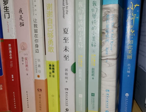 出闲置小说 青春文学 正版 仅读过一遍 保...