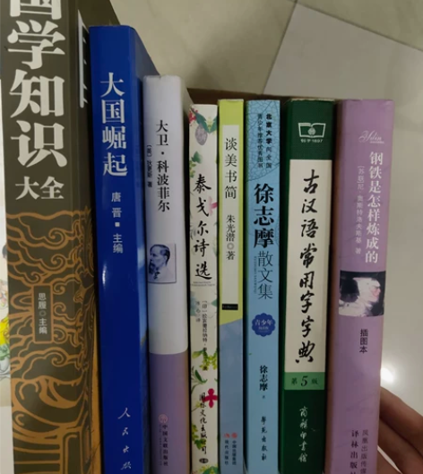 国学知识，大卫科波菲尔，泰戈尔诗选，徐志摩...