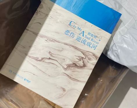 《悲伤逆流成河》—郭敬明.正版。里面文字都...