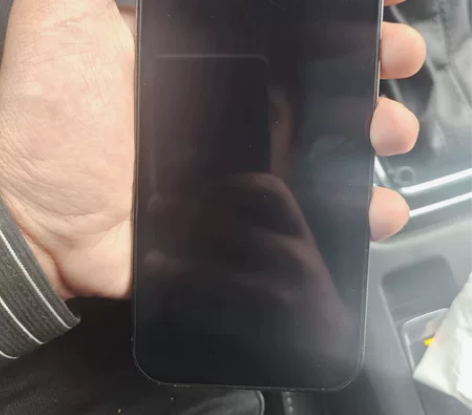 12promax 国行 256 更换后壳 ...