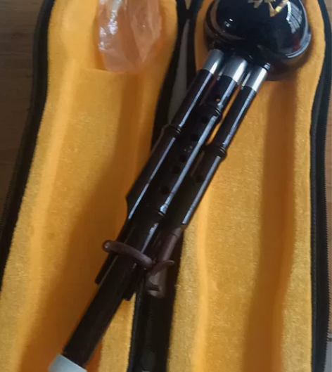 防摔葫芦丝 没有吹过一次 高考加分项 感兴...