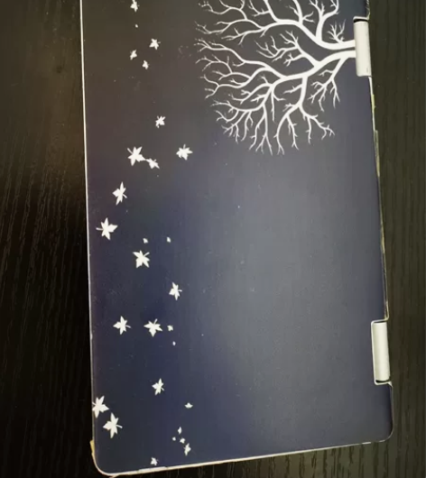 壹号本2s 屏幕钢化膜，全机身贴膜，揭掉嘎...