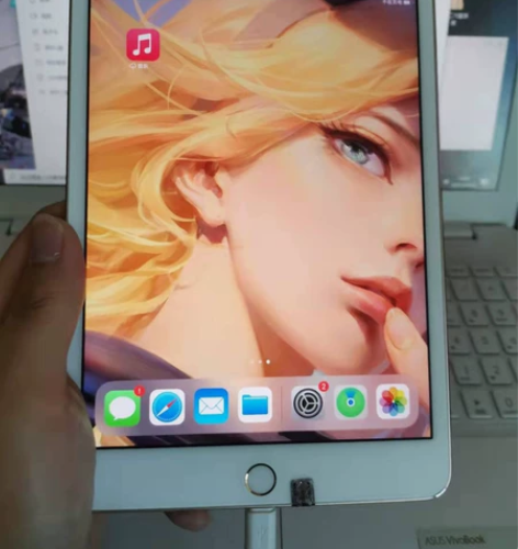 iPad mini4，64G，无维修无暗病...