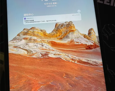 Apple/苹果 iPad Pro 12....