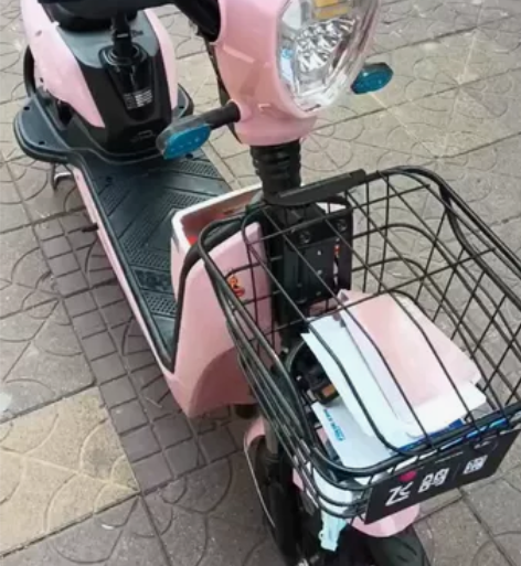 全新车,飞鸽48v的电动自行车,电池质保一...