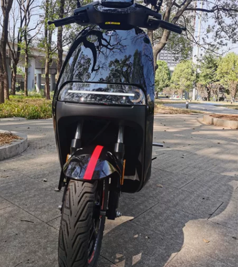 九号e100双电，22年10月购买，200...