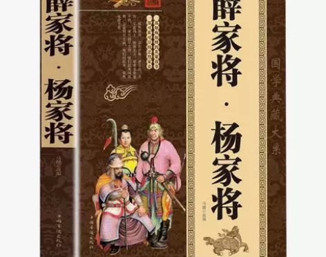 大厚本薛家将杨家将大全集英雄传奇故事历史小...