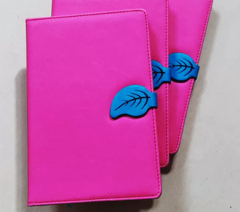 （2本装)亏本清仓，九成新，带扣款A5笔记...