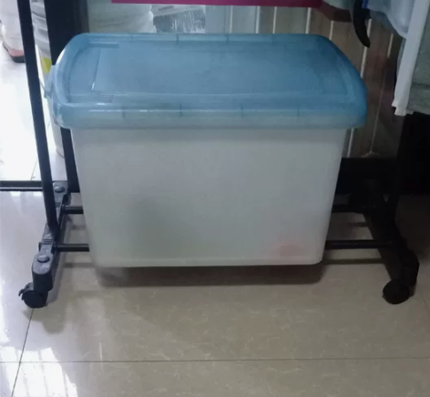 茶花牌的整理箱,自提!长55厘米,宽40厘...