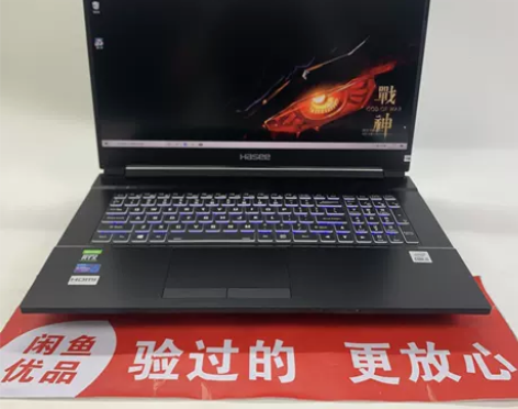 神舟战神G8笔记本电脑I5-10500游戏...