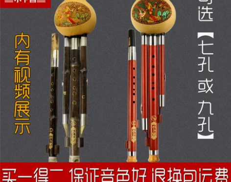 葫芦丝 葫芦丝红木九孔c调降b调小学生乐器...