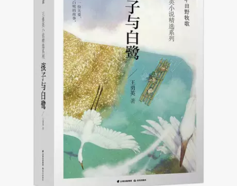 孩子与白鹭王勇英小说系列儿童文学小学生课外...