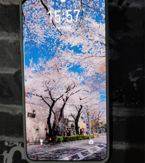 魅族17Pro定白8+128 空间不足入了...