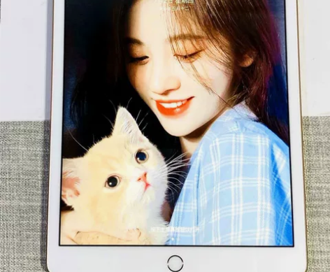 二手iPad23456,mini12345...