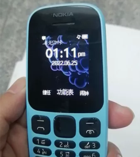 Nokia诺基亚TA-1010，学校不给带...